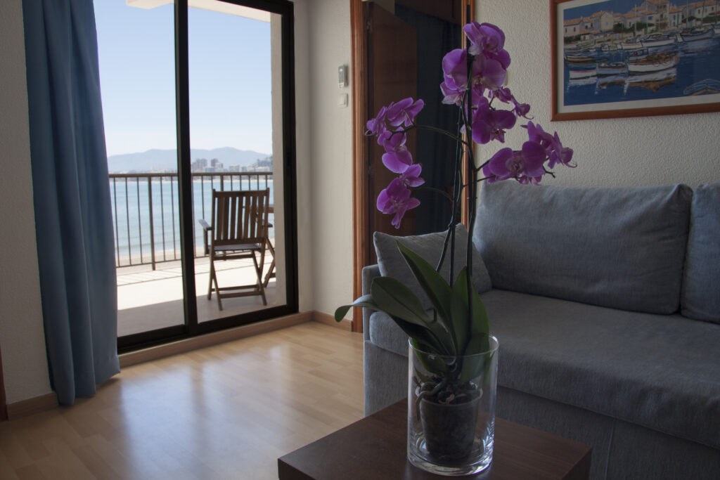 Superior Double Room 7